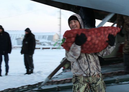 В Аллаиху  прилетели овощи