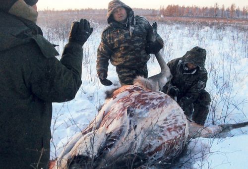 Кому достаются  «научные» лицензии?