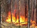 Что не утонет, то сгорит, или Пожаров будет только больше