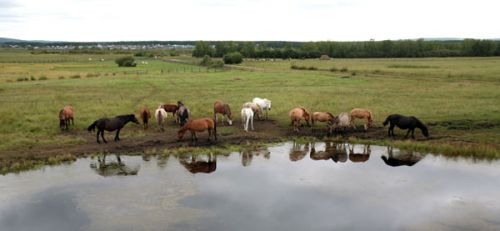 За землю возьмутся всерьез 