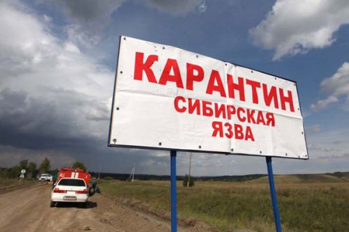 «Ямал – это только начало» Бактерии каменного века вновь угрожают человечеству
