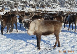 Не делите нас, пожалуйста! -2