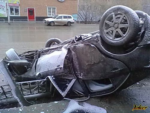 Жертва первого снега