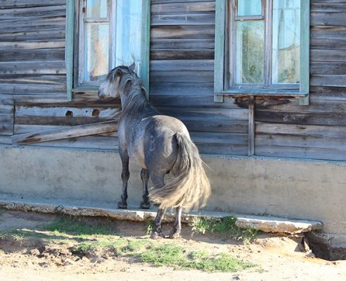 Красота по-вилюйски