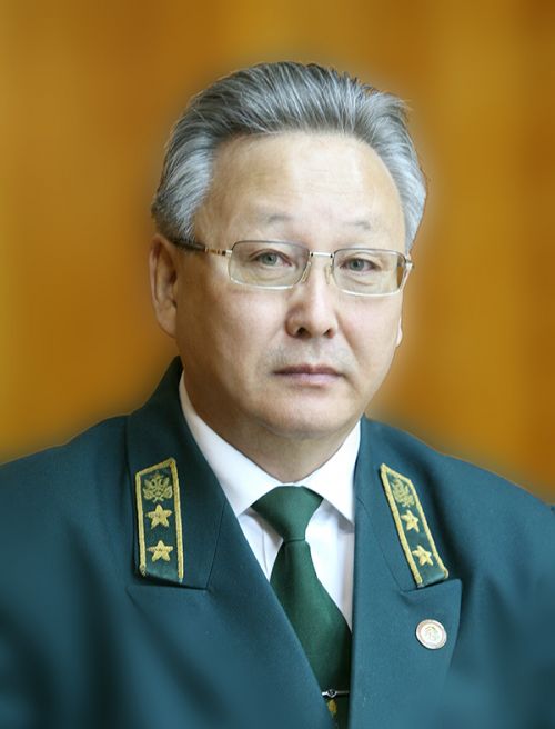 Поклониться лесу...