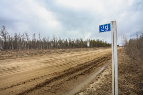 Гектар в Якутске выделят в лесу