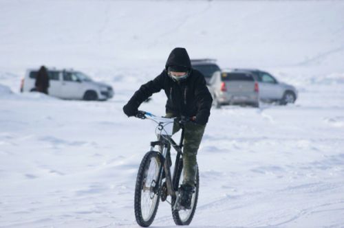 Без тормозов