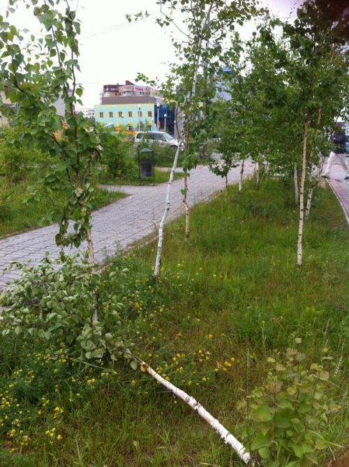 Ветеринары тоже должны любить природу