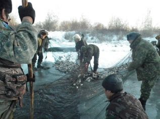 Из-за денег опять скандал