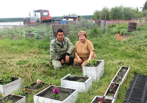 На даче в тайге