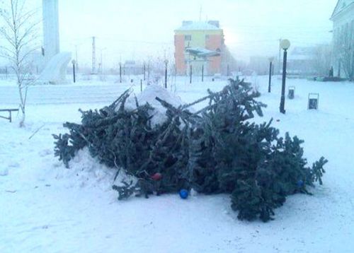 Елкопад