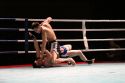 В ожидании Емельяненко