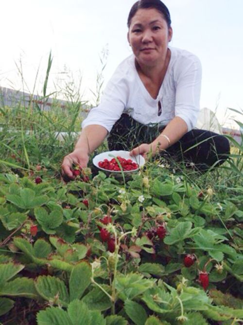 Анна Портнягина:  «Мир должен  утопать в цветах».