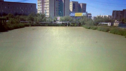 Как нам обустроить  городской канал?