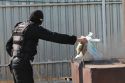 Сгоревшие миллионы — спасенные жизни 