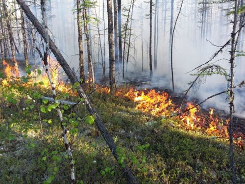 Тушение пожаров и погашение долгов.  Одно без другого невозможно