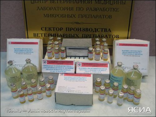 Лекарства «Made in Yakutia»