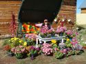 Домашний кинотеатр, каток  и самодельные лыжи